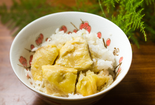 頂級金枕頭榴槤入菜，打造泰日混搭的絕美榴槤料理，進口泰國果王顛覆你的味覺饗宴